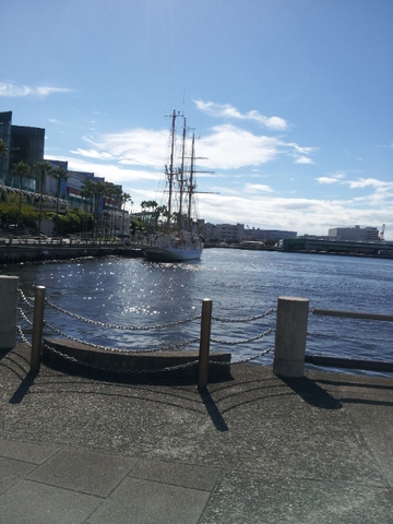 20120916_091522.jpg