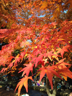 image-20131124171737.png